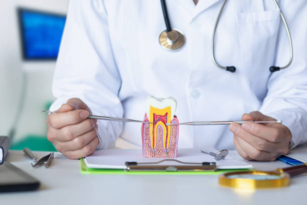 Best Urgent Tooth Repair  in East Syracuse, NY